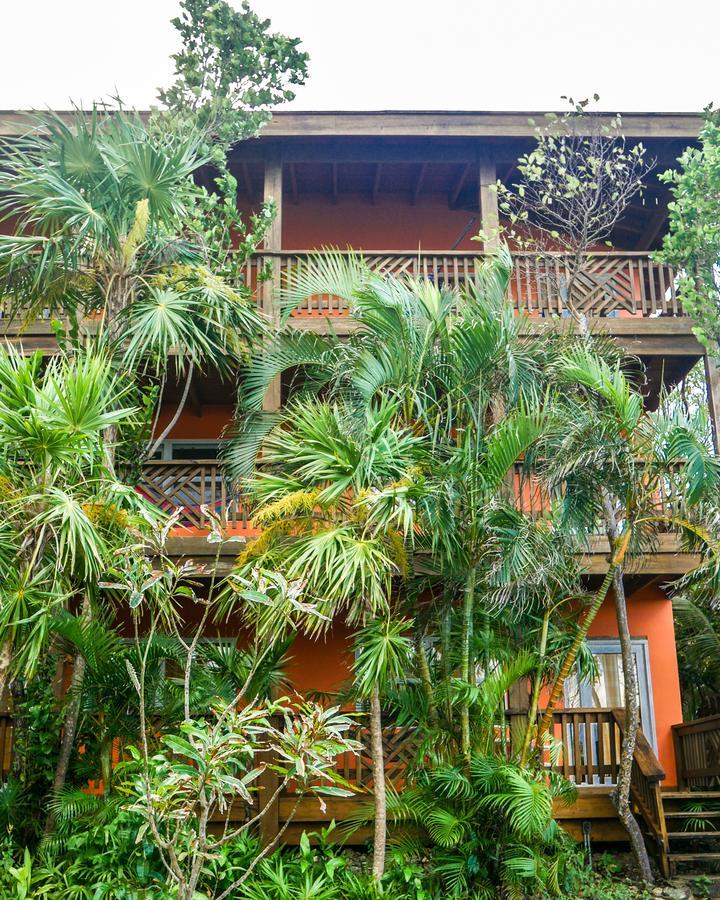 Hotel Posada Las Orquideas,ווסט אנד מראה חיצוני תמונה