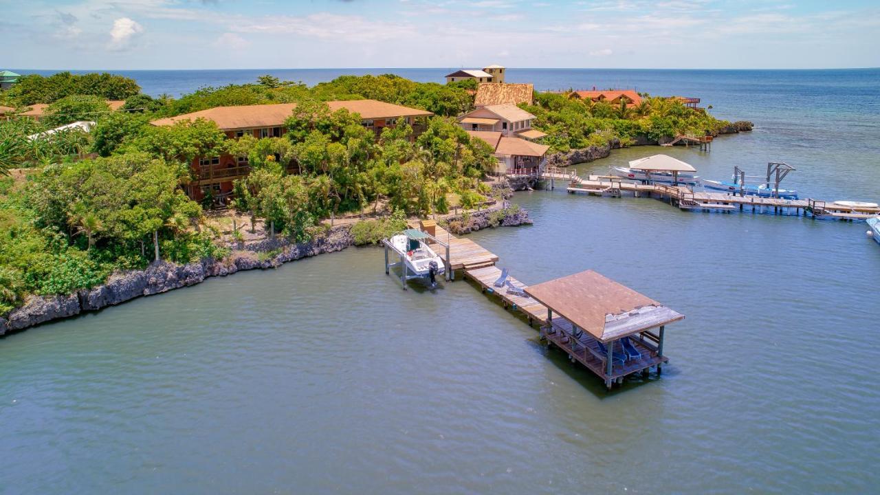 Hotel Posada Las Orquideas,ווסט אנד מראה חיצוני תמונה