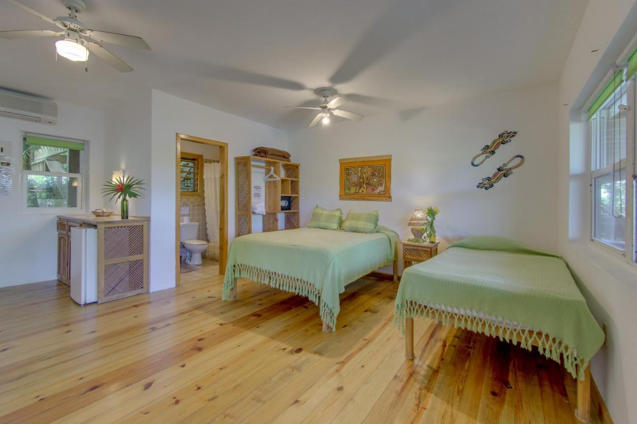 Hotel Posada Las Orquideas,ווסט אנד מראה חיצוני תמונה