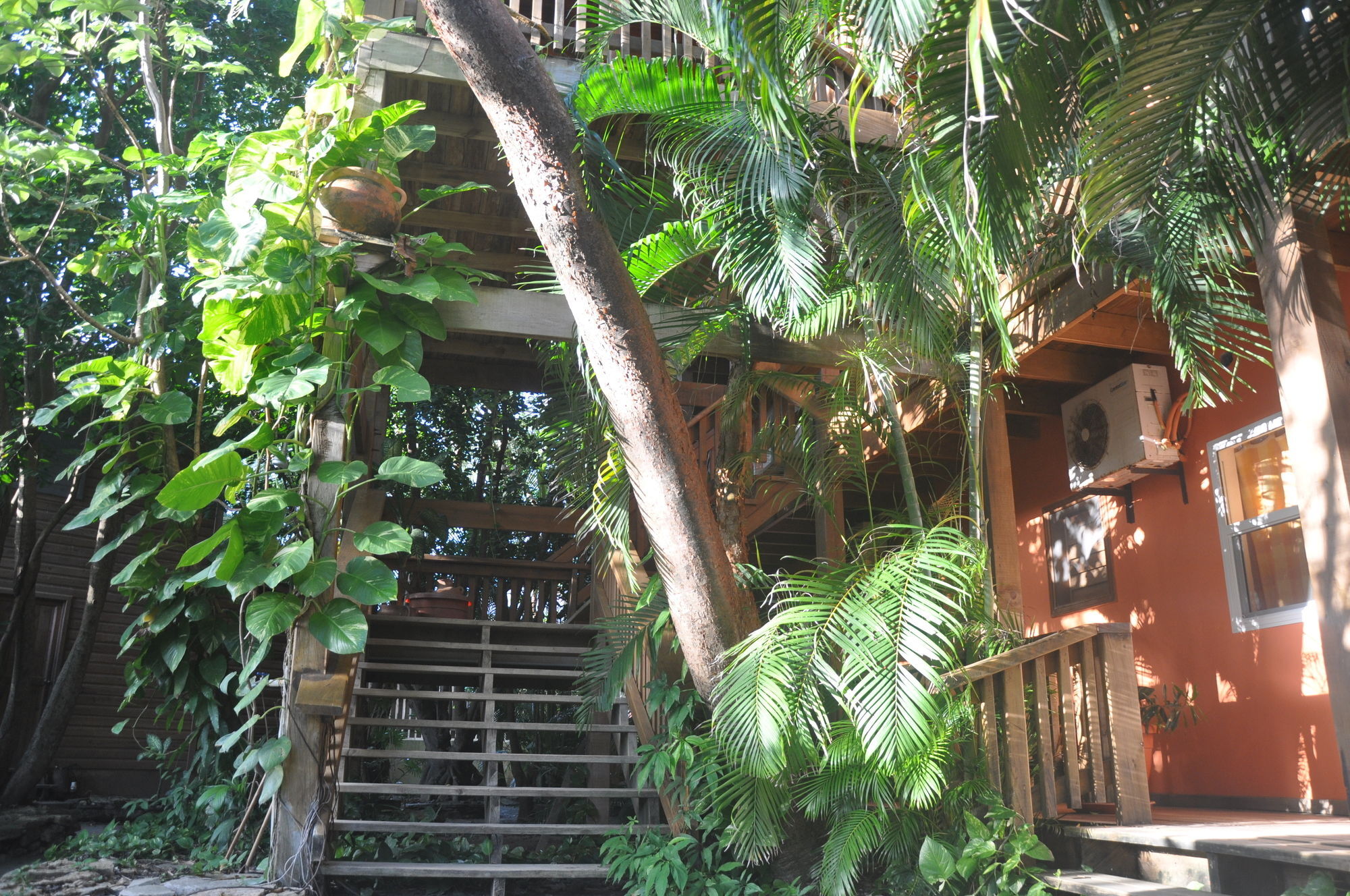 Hotel Posada Las Orquideas,ווסט אנד מראה חיצוני תמונה